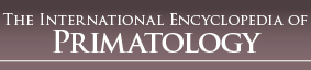 The International Encyclopedia of Primatology