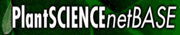 PlantSCIENCEnetBASE