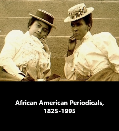 African American Newspapers Series 1 and 2