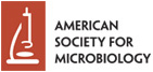 American Society for Microbiology