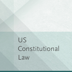 US Constitutional Law (USC)