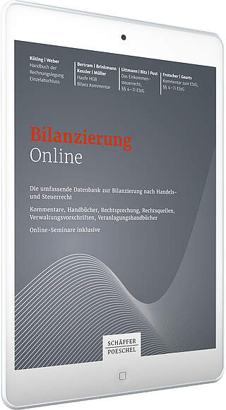 Bilanzierung Online