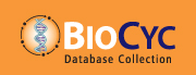 BioCyc
