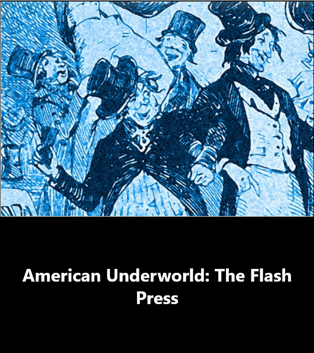 American Underworld: The Flash Press